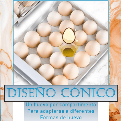🥚✨ EggMaster™ Orden, frescura y cero huevos rotos