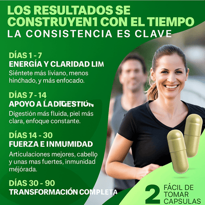 🌿 MoringaBoost™ El Superalimento que tu cuerpo estaba pidiendo