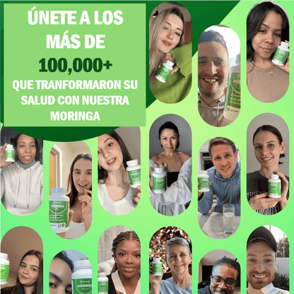 🌿 MoringaBoost™ El Superalimento que tu cuerpo estaba pidiendo